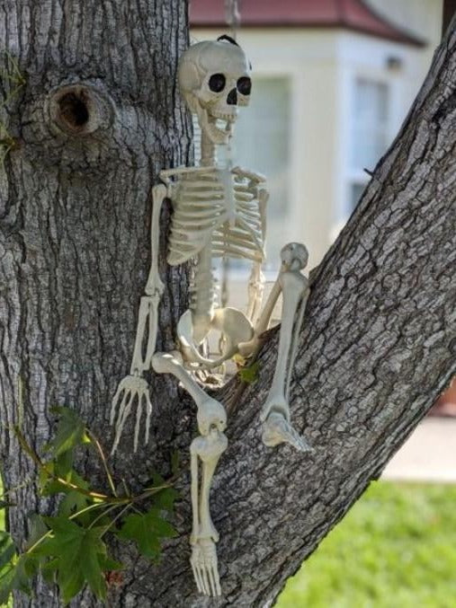 limbs  spooky  decoration  faux  skeleton  white  accessory  halloween  costume  cosplay  gift  free shipping  trend  trending