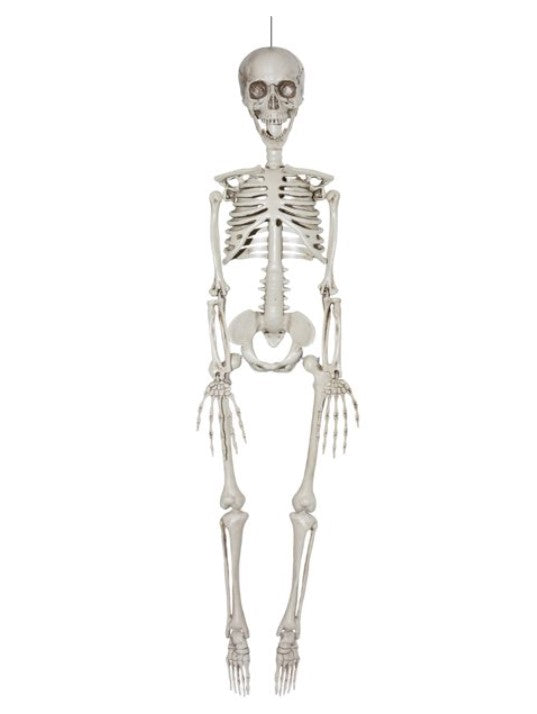 limbs  spooky  decoration  faux  skeleton  white  accessory  halloween  costume  cosplay  gift  free shipping  trend  trending