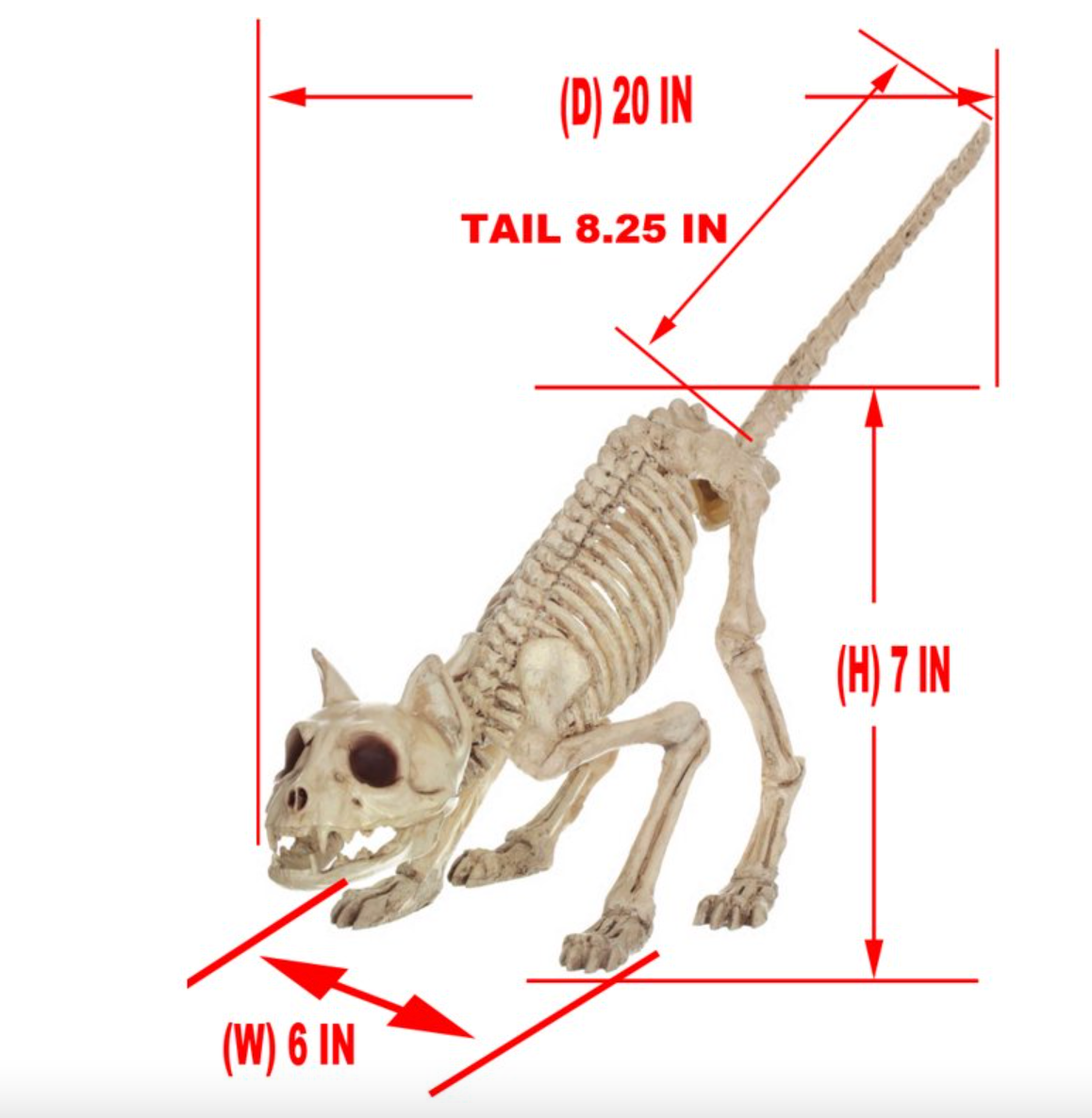 adults  kids  decoration  cat  skeleton  fake  faux  white  accessory  halloween  costume  cosplay  gift  free shipping  trend  trending